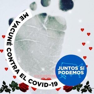 Meet your Posher, Ana